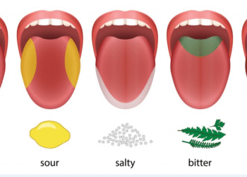 سنسوری و طعم شناسی در بار سرد بارتندر