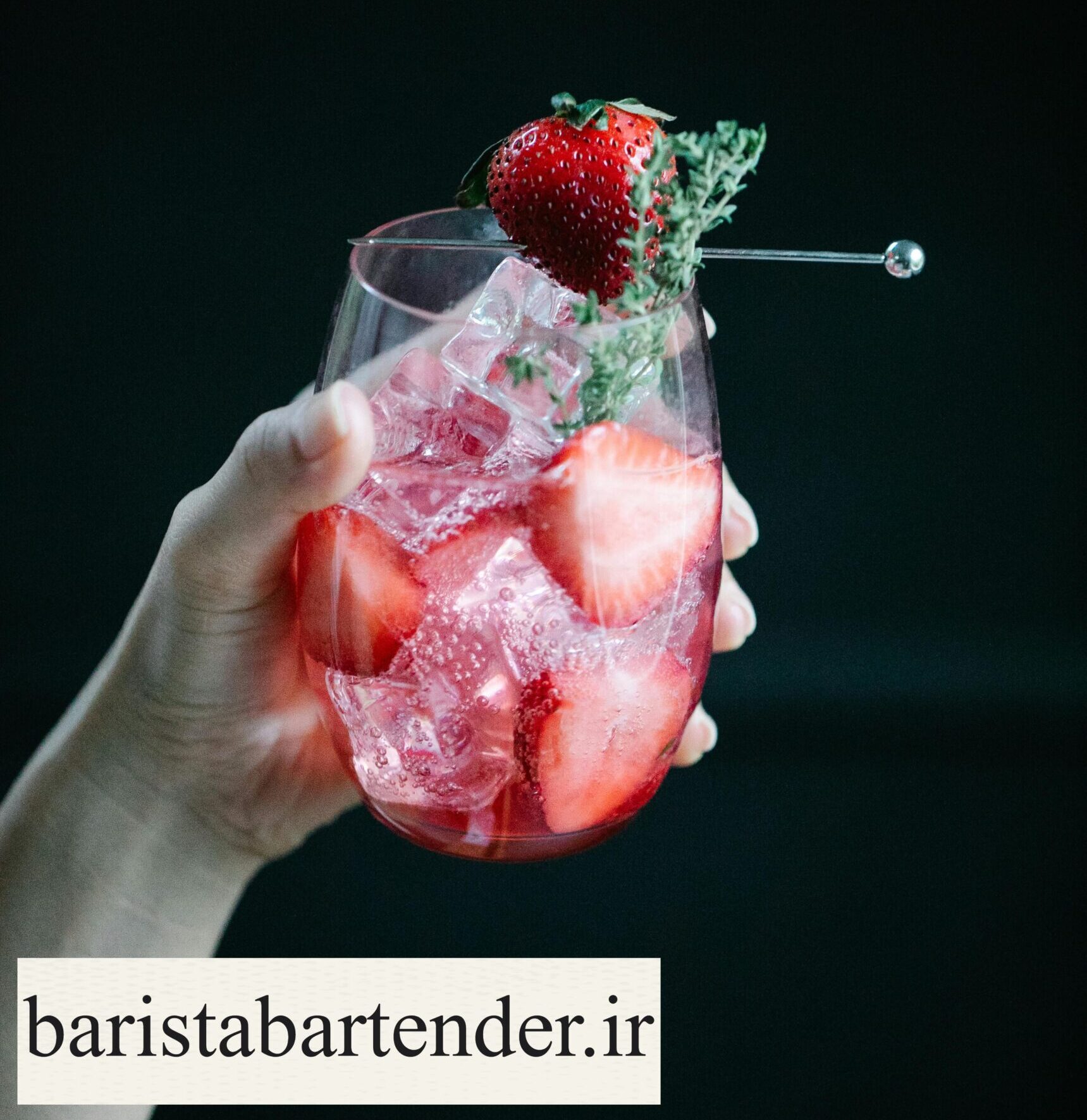 آموزش انواع گارنیش در بارتندری