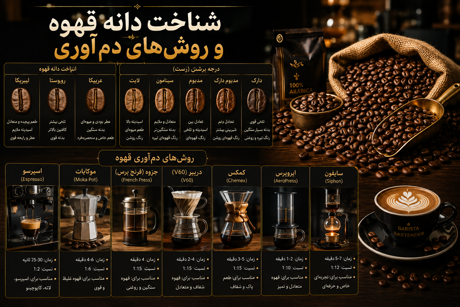 آموزش باریستا / راهنمای جامع یادگیری از مبتدی تا حرفه ای 25 شناخت دانه قهوه و روشهای دمآوری